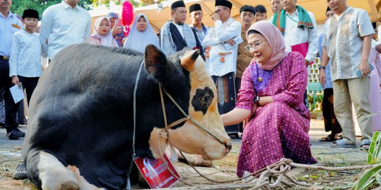 Idul Adha Momentum Tingkatkan Ketakwaan dan Kepedulian Sosial