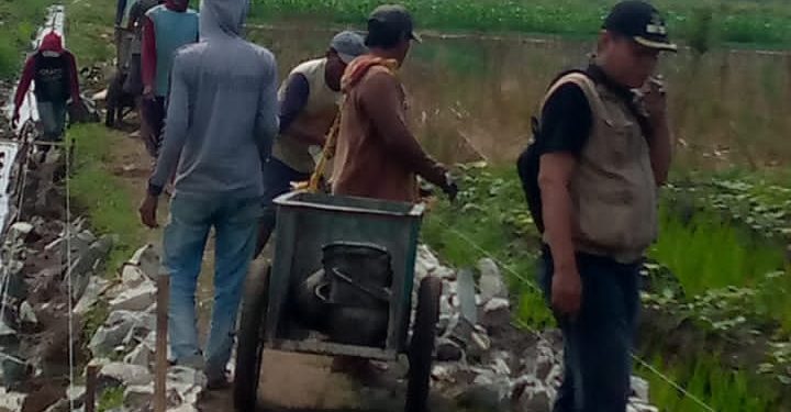 Dana Desa di tahun 2024 Untuk Jalan Usaha Tani