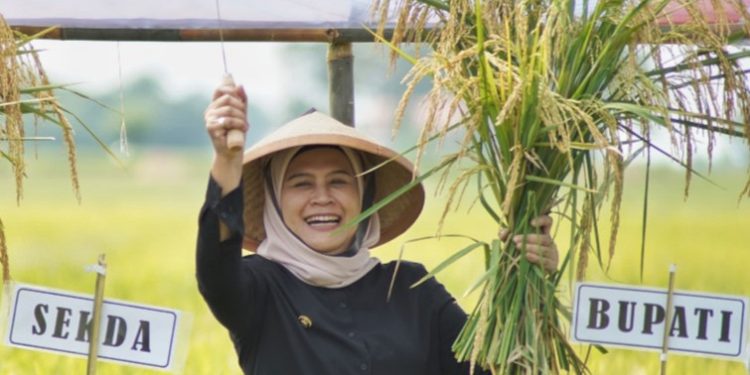 1.000 Hektare Sawah Indramayu Jadi Pilot Project Pertanian Organik di Indonesia