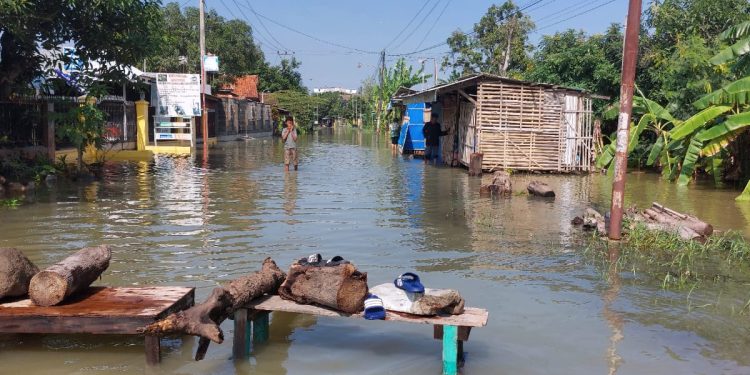 Belasan Rumah Di Perbatasan. Desa Tinumpuk -Pondoh Terendam Banjir 