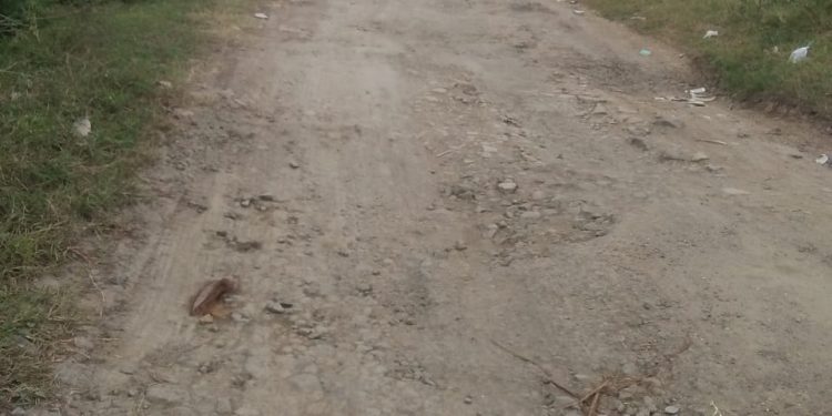 Butuh Perhatian, Jalan Kabupaten Di Desa Tawang Sari Rusak Parah