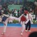 Kejuaraan Taekwondo Cirebon Open 3 : 800 Atlet Bersaing dengan Semangat Juang Tinggi 