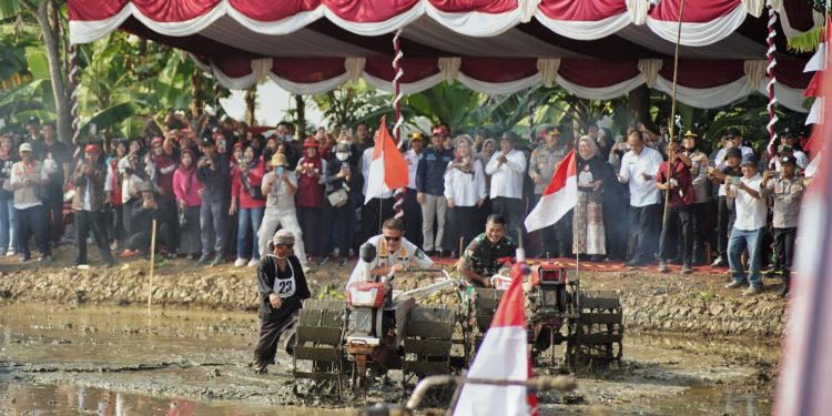 Seru dan Meriah Pesta Tani Indramayu Gelar Kejuaraan Balap Traktor