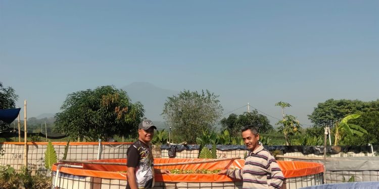 Edi Kurniadi, S.Sos, M.Si Geluti Kelompok Tani Budidaya Ikan Air Tawar Toya Jaya dan Tawarkan Ikan Dengan Harga Ekonomis