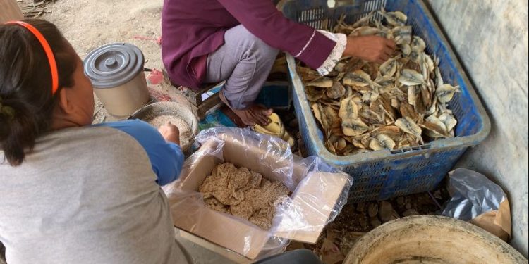 Olahan Dendeng Ikan Manis Disekitar Pesisir Desa Eretan Wetan