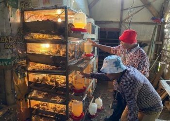 Dinas Arsip : Mengatasi Salah Satu Masalah Yang Sering Diabaikan