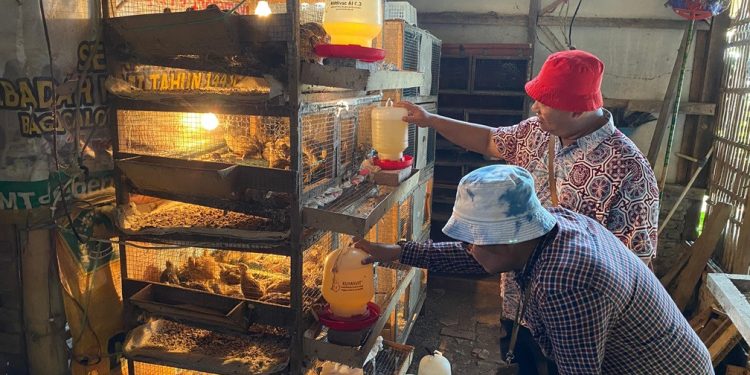 Dinas Arsip : Mengatasi Salah Satu Masalah Yang Sering Diabaikan