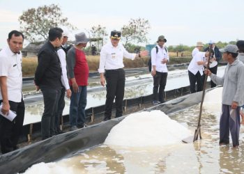 Pemkab Cirebon Raih Apresiasi Tinggi dari Asosiasi Petambak Garam: Langkah Strategis Menuju Kemandirian Garam Nasional