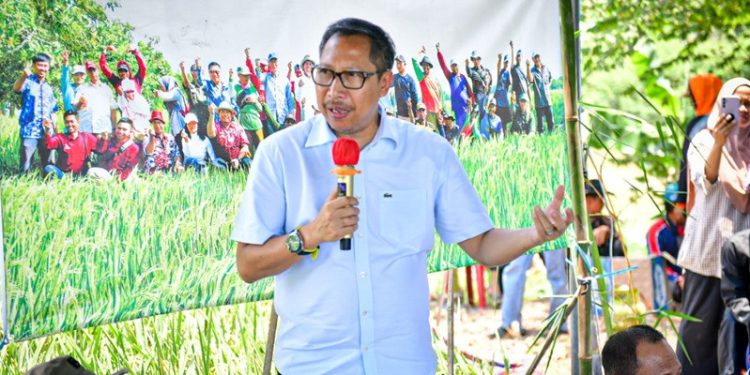 Pjs. Bupati Indramayu: Panen Perdana Pertanian Organik Seluas 1.000 Hektare