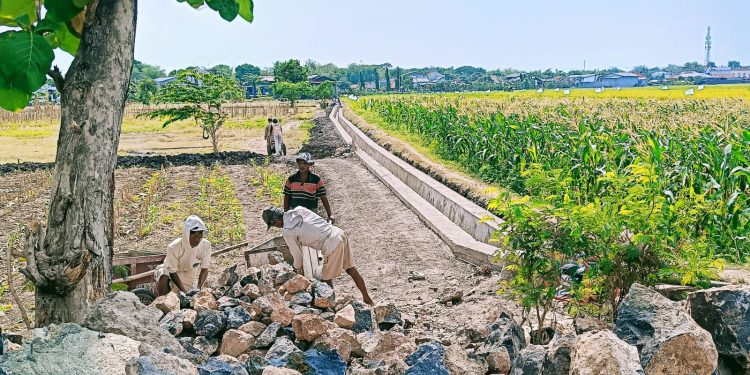 P3A Tuk Muara Desa Tuk Karangsuwung Maksimalkan Pekerjaan Peningkatan Jaringan Irigasi