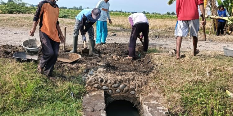 Pemdes Sumber Kidul Bangun Jembatan Gunakan Anggaran Banprov 2024
