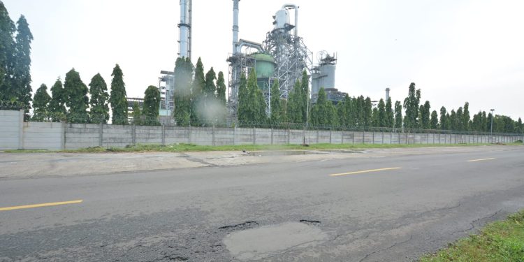 Proyek Bufferzone, Pertamina akan hijaukan Sisi Jalan Desa Sukareja dengan tanam 6.900 Pohon