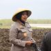 Polresta Cirebon Laksanakan Program Ketahanan Pangan Penanaman Bibit Jagung di Karangwareng