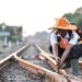 Mengungkap Peran Tersembunyi Pahlawan Keselamatan Kereta Api: Petugas Pemeriksa Jalur (PPJ)