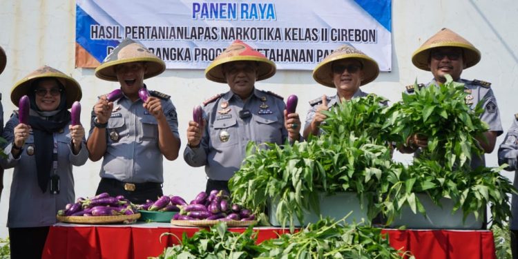Panen Raya Sayuran Lapas Narkotika Cirebon Turut Mendukung Program Ketahanan Pangan Nasional.
