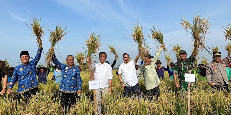 Panen Raya di Indramayu, Pj. Gubernur Jabar Dorong Peningkatan Produksi Padi