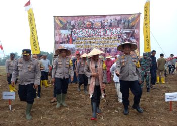 Polres Majalengka Bersama Pemerintah Genjot Ketahanan Pangan dengan Ubah Lahan Tidur Jadi Produktif