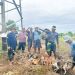 Pemdes Sende dan Unsur Lembaga Serta Petani Perangi Hama Tikus Dengan Dibantu Hewan Anjing
