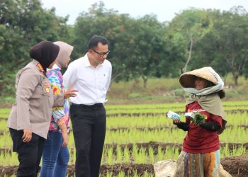 Pj Bupati Cirebon Bersama Kapolresta Cirebon Temui Ibu di Sawah, Semangati Tetap Gigih Bekerja di Hari Ibu
