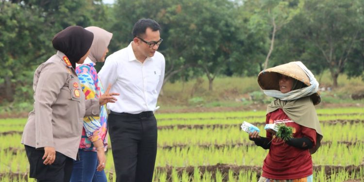Pj Bupati Cirebon Bersama Kapolresta Cirebon Temui Ibu di Sawah, Semangati Tetap Gigih Bekerja di Hari Ibu