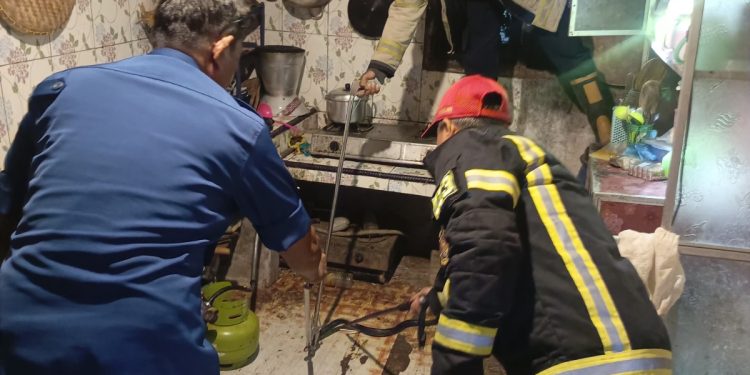 Sigap, Petugas Damkar Indramayu Jinakan Kobra yang Masuk Rumah Warga