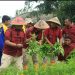 Panen Raya Kangkung di Lapas Narkotika Kelas IIA Cirebon, Wujud Nyata Program Ketapang
