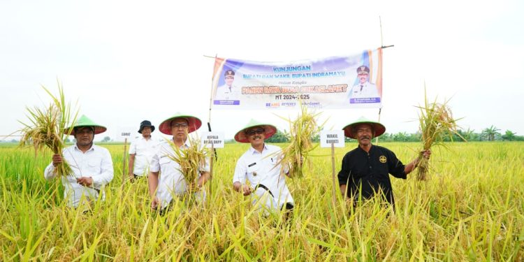Wakil Bupati Indramayu Apresiasi Kerja Keras Petani