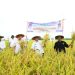 Wakil Bupati Indramayu Apresiasi Kerja Keras Petani