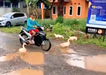 Bak Tempat Angon Bebek, Jalan Durajaya – Nanggela Greged Burak Rantak