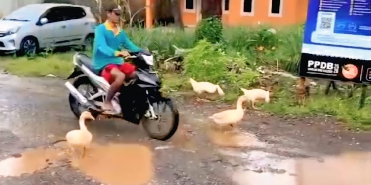 Bak Tempat Angon Bebek, Jalan Durajaya – Nanggela Greged Burak Rantak