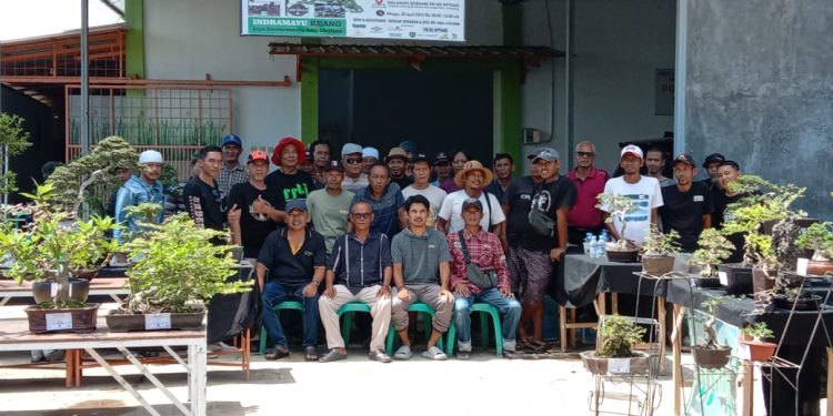Mepe Bareng Bonsai Ditengah Ultah Optimis RR Indramayu