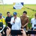Menteri PU Panen Perdana di Indramayu, Lucky Hakim: Metode IPHA, Hasilkan 11 Ton per Hektare