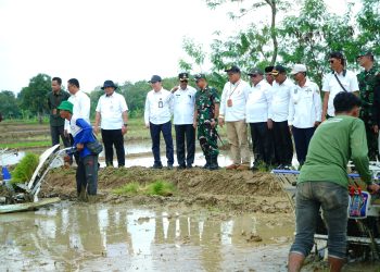 Wabup Lakukan Percepatan Tanam di Lahan 11 Ribu Hektar