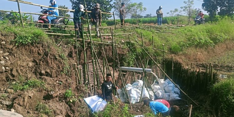 Jalan Terancam Putus Longsor, Pemdes dan Warga Kaligawe Wetan Pasang Cerucuk Bambu