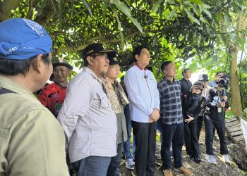 Bupati dan Dirjen Kemendikbud Kunjungi Situs Dampuawang, Temukan 13 Gumuk Tinggalan Masa Lalu
