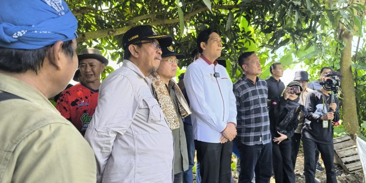 Bupati dan Dirjen Kemendikbud Kunjungi Situs Dampuawang, Temukan 13 Gumuk Tinggalan Masa Lalu