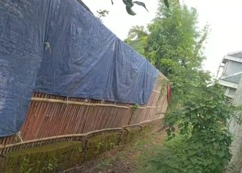 Khawatir Akan Kesehatan Warga, Kandang Ayam di Blok Sumur Bulak Desa Danawinangun Disoal