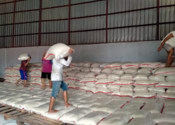 Bulog Indramayu terus Serap Gabah Petani, Optimistis Target Pengadaan Tercapai 100 Persen
