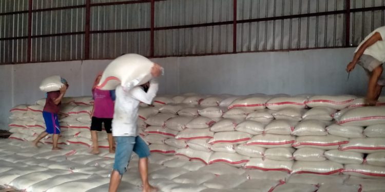 Bulog Indramayu terus Serap Gabah Petani, Optimistis Target Pengadaan Tercapai 100 Persen