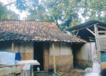 Rawan Ambruk, Rumah Lansia 75 Tahun di Desa Munjul Perlu Perhatian Serius