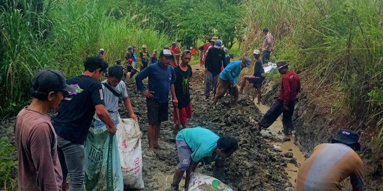 Jalan Terisolir, Warga Nagrak Dan Lojikaum Gotong Royong Bersihkan Puing Lumpur