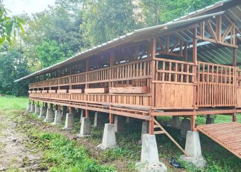 Langkah Strategis BUMDes Makmur Sejahtera Susukanlebak Kembangkan Peternakan Kambing