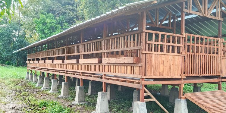 Langkah Strategis BUMDes Makmur Sejahtera Susukanlebak Kembangkan Peternakan Kambing