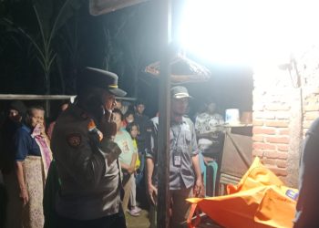 Jebakan Tikus di Area Persawahan Indramayu Kembali Telan Korban