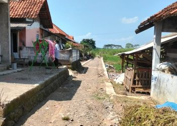 Pemdes Japura Lor Rampung Realisasikan Program Ketahanan Pangan Tahun 2025