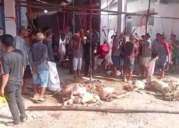 Hari Idul Adha 1446 H, Masyarakat Desa Pabedilan Kaler Laksanakan Sholat dan Qurban 