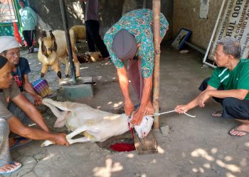 SMK Dwi Bhakti Ciledug Berbagi Daging Qurban Keberkahan Idul Adha 1446 H