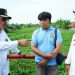 Pemkab Indramayu Segera Normalisasi Saluran Sungai Maja