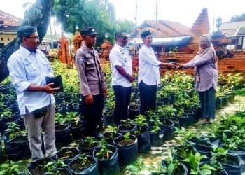 Upaya Mewujudkan Pekarangan Pangan Lestari (P3L) Bumdes Makmur Abadi Bersama Pemdes Gegesik Lor, Bagikan Tanaman Hortikultura Ke Warga.