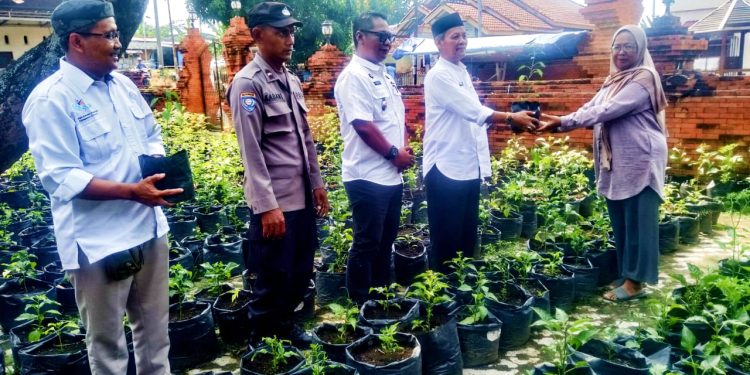 Upaya Mewujudkan Pekarangan Pangan Lestari (P3L) Bumdes Makmur Abadi Bersama Pemdes Gegesik Lor, Bagikan Tanaman Hortikultura Ke Warga.